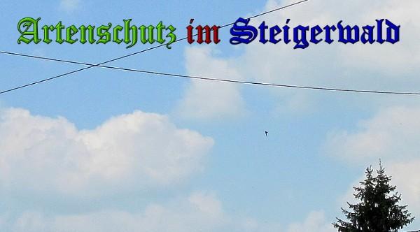 Copyright AiS / 2010 Schaller Bild zum Eintrag (26190-160)