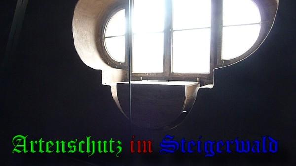 Copyright AiS / 2010 Bild zum Eintrag (26211-160)