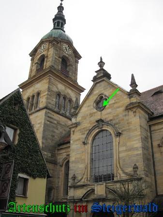 Copyright AiS / 2010 Bild zum Eintrag (26212-160)