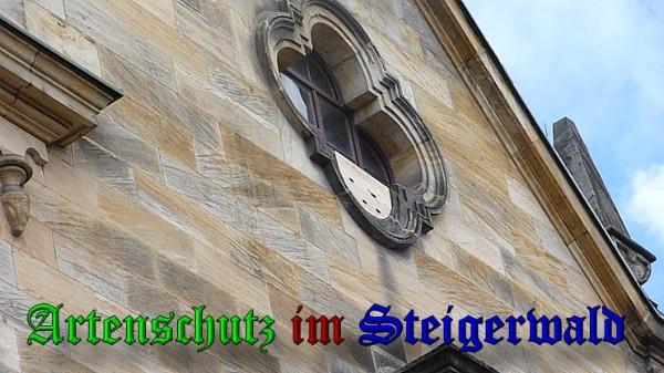 Copyright AiS / 2010 Bild zum Eintrag (26213-160)
