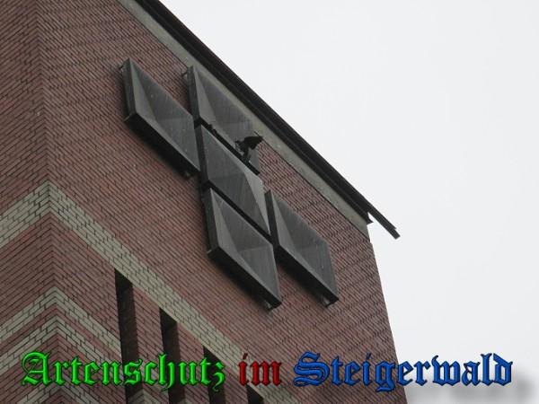 Copyright AiS / 2010 Bild zum Eintrag (26216-160)