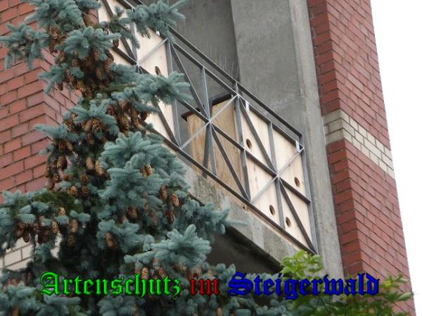 Copyright AiS / 2010 Bild zum Eintrag (26218-160)