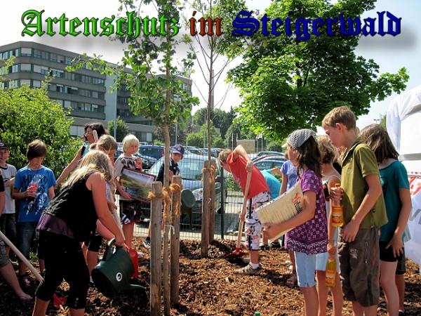 Copyright AiS / 2010 Bild zum Eintrag (26223-160)