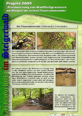 Copyright AiS / 2010 - Stadtverwaltung Suhl Rechts- und Umweltamt Bild zum Eintrag (26328-160)