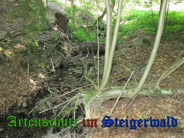 Copyright AiS / 2010 Bild zum Eintrag (26337-160)