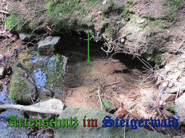 Copyright AiS / 2010 Bild zum Eintrag (26342-160)