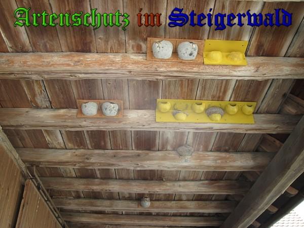 Copyright AiS / 2010 Bild zum Eintrag (26351-160)