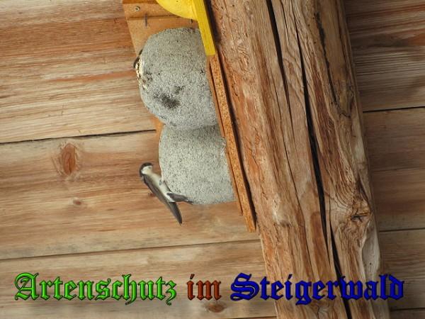 Copyright AiS / 2010 Bild zum Eintrag (26352-160)