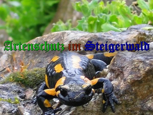 Copyright AiS / 2010 Bild zum Eintrag (26353-160)