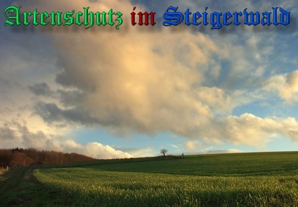 Copyright AiS / 2009 - Klemens Harzim Bild zum Eintrag (26364-160)