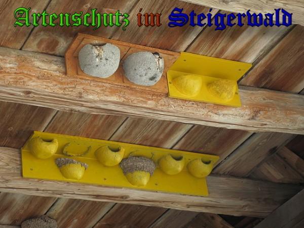 Copyright AiS / 2010 Bild zum Eintrag (26370-160)