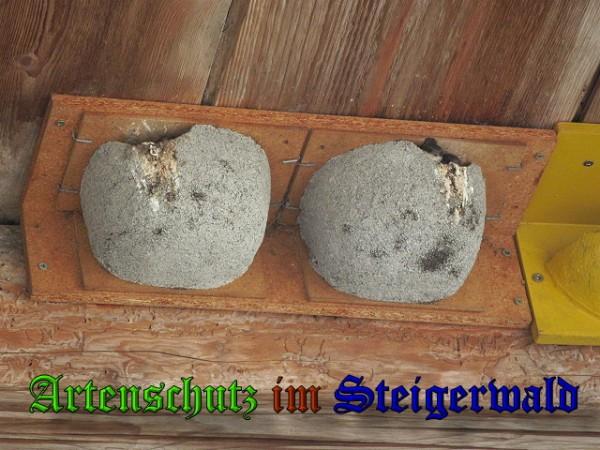 Copyright AiS / 2010 Bild zum Eintrag (26371-160)
