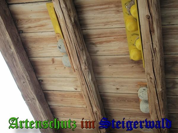 Copyright AiS / 2010 Bild zum Eintrag (26373-160)
