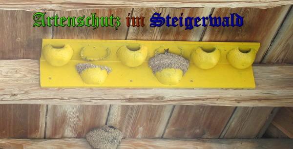 Copyright AiS / 2010 Bild zum Eintrag (26375-160)