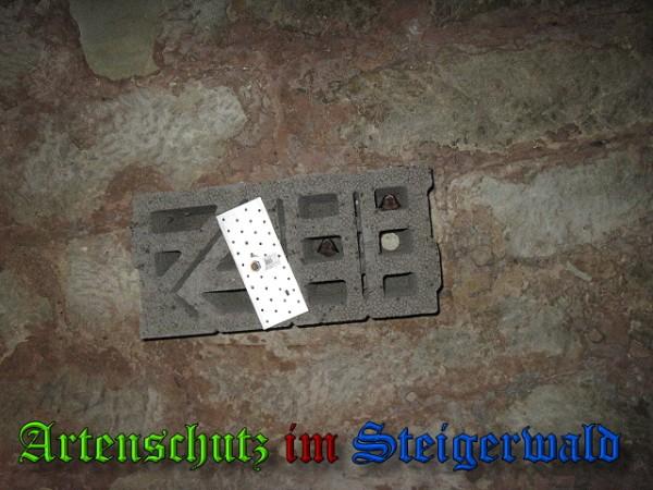 Copyright AiS / 2010 Bild zum Eintrag (26451-160)