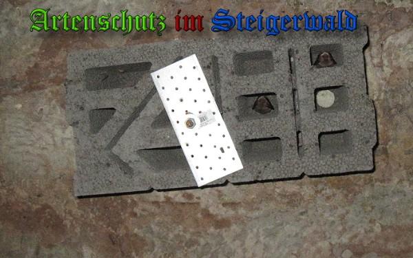 Copyright AiS / 2010 Bild zum Eintrag (26452-160)