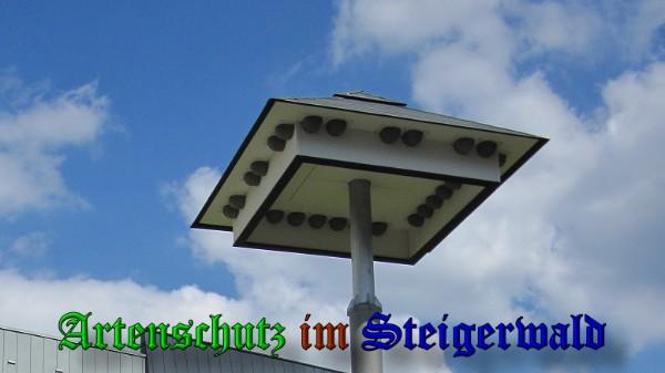 Copyright AiS / 2010 Köhler Bild zum Eintrag (26475-160)
