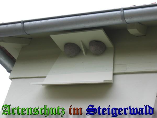 Copyright AiS / 2009 Zürl Bild zum Eintrag (26494-160)