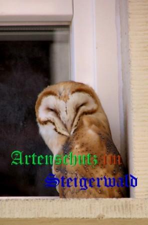 Copyright AiS / Zeck Bild zum Eintrag (26533-160)
