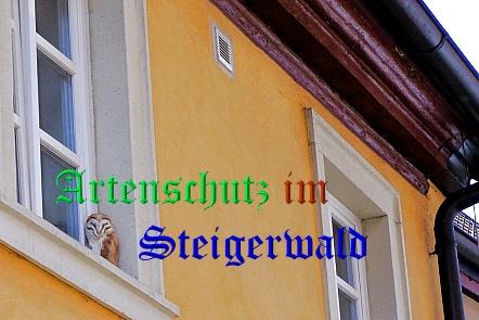 Copyright AiS / 2008 Winfried Zeck Bild zum Eintrag (26554-160)