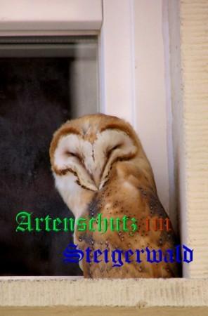 Copyright AiS / 2008 Winfried Zeck Bild zum Eintrag (26555-160)