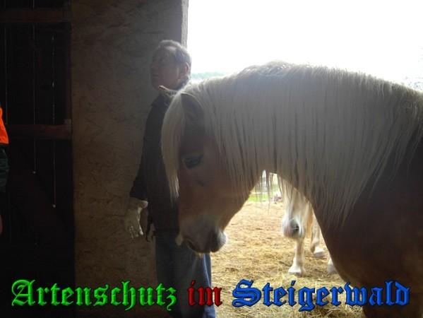 Copyright AiS / 2010 Spahn Bild zum Eintrag (26568-160)