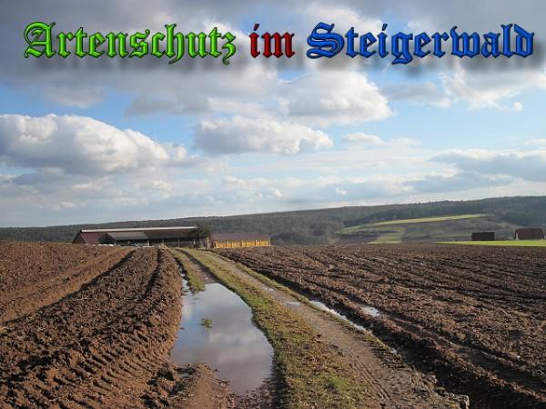 Copyright AiS / 2010 Förner Bild zum Eintrag (26581-160)