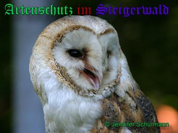 Copyright AiS / 2010 Schürmann Bild zum Eintrag (26582-160)