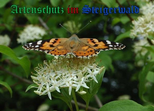 Copyright AiS / 2009 Dr. Georg Sperber Bild zum Eintrag (26595-160)