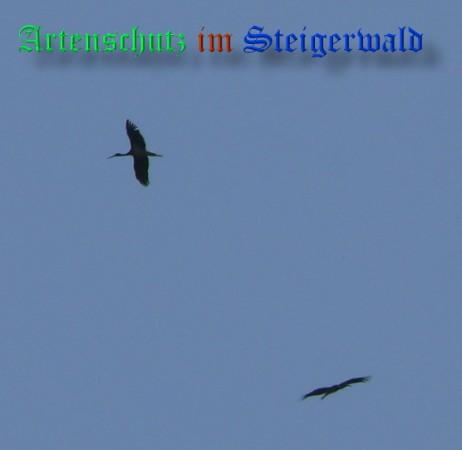Copyright AiS / 2009 Pfleiderer Bild zum Eintrag (26647-160)