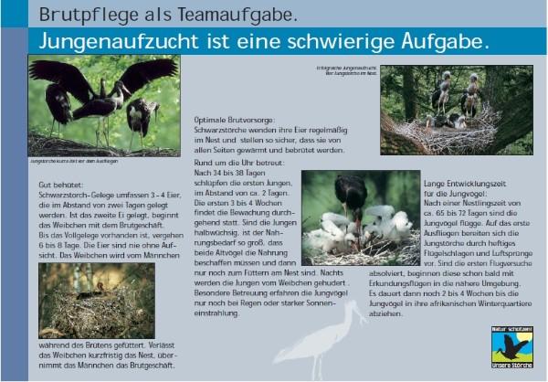 Copyright AiS / 2010 mit freundlicher Genehmigung des Umweltzentrums Fulda Bild zum Eintrag (26687-160)