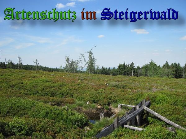 Copyright AiS / 2010 Bild zum Eintrag (26692-160)