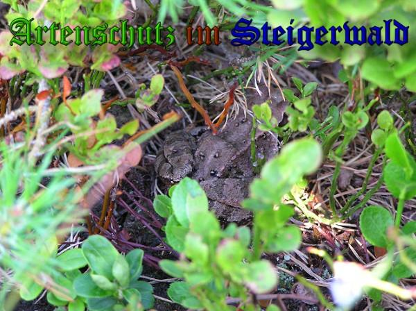 Copyright AiS / 2010 Bild zum Eintrag (26693-160)
