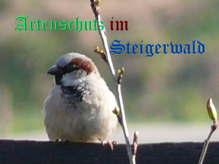 Copyright AiS / Breller Bild zum Eintrag (26702-160)