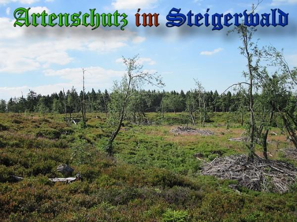Copyright AiS / 2010 Bild zum Eintrag (26705-160)