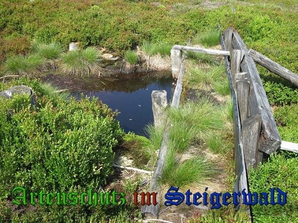 Copyright AiS / 2010 Bild zum Eintrag (26706-160)