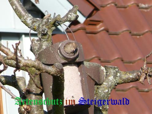 Bild zum Eintrag (26721-160)