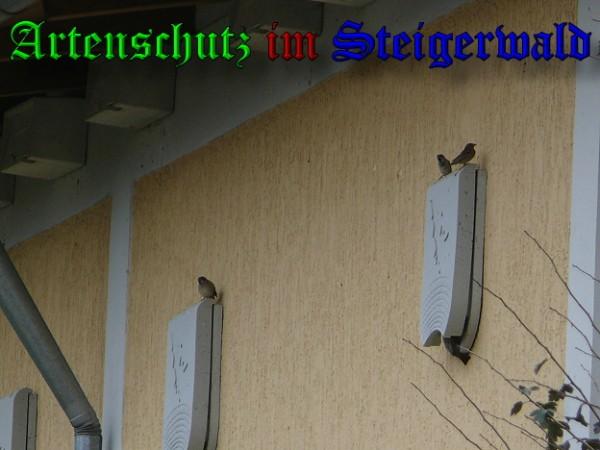 Copyright AiS / 2009 Weidner Bild zum Eintrag (26726-160)