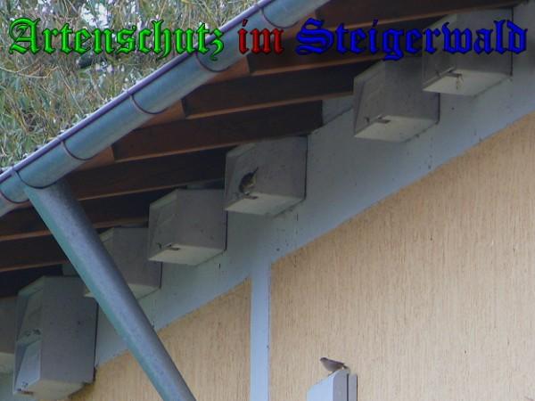 Copyright AiS / 2009 Weidner Bild zum Eintrag (26727-160)
