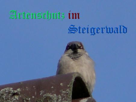 Copyright AiS / 2008 Bild zum Eintrag (26730-160)