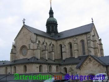 Copyright AiS / Köhler Bild zum Eintrag (26752-160)