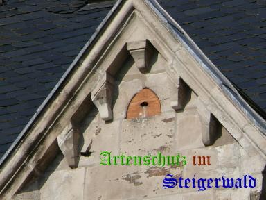 Copyright AiS / Köhler Bild zum Eintrag (26767-160)