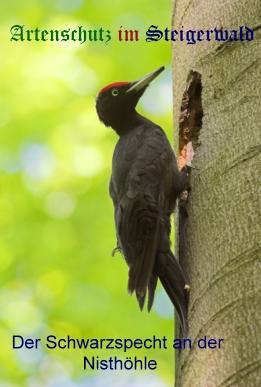 Copyright AiS / Andy Gehrig Bild zum Eintrag (26788-160)