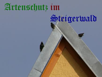 Copyright AiS / Köhler Bild zum Eintrag (26792-160)