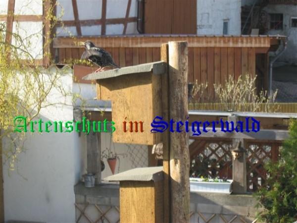 Copyright AiS / Zürl Bild zum Eintrag (26805-160)