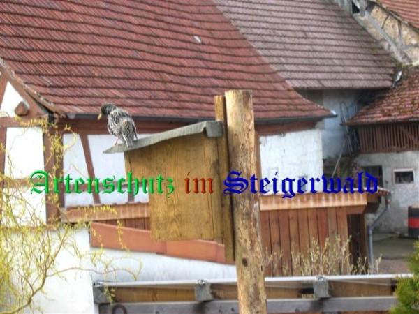Copyright AiS / Zürl Bild zum Eintrag (26806-160)