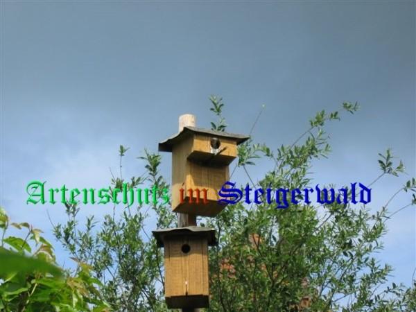 Copyright AiS / 2009 Zürl Bild zum Eintrag (26807-160)