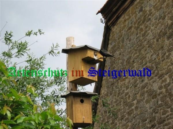 Copyright AiS / Zürl Bild zum Eintrag (26808-160)
