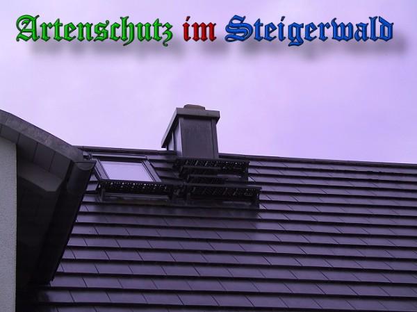 Copyright AiS / 2010 Greb Bild zum Eintrag (26816-160)