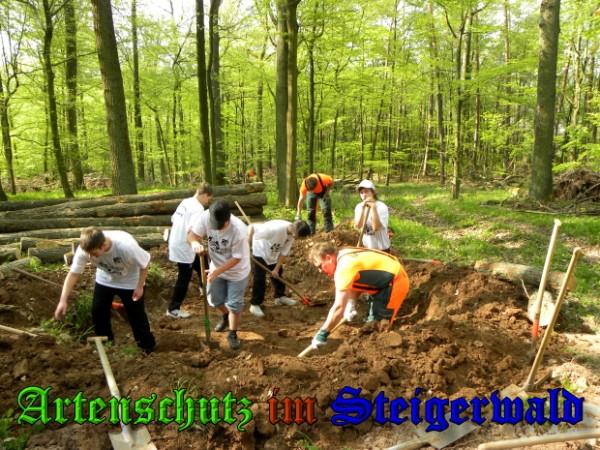 Copyright AiS / 2009 Helga Zinnecker Bild zum Eintrag (26909-160)